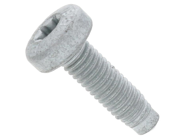 Mercedes-Benz Torx Head Bolt 6 X 20 X 1.0 mm | 2010-2026 000000004553