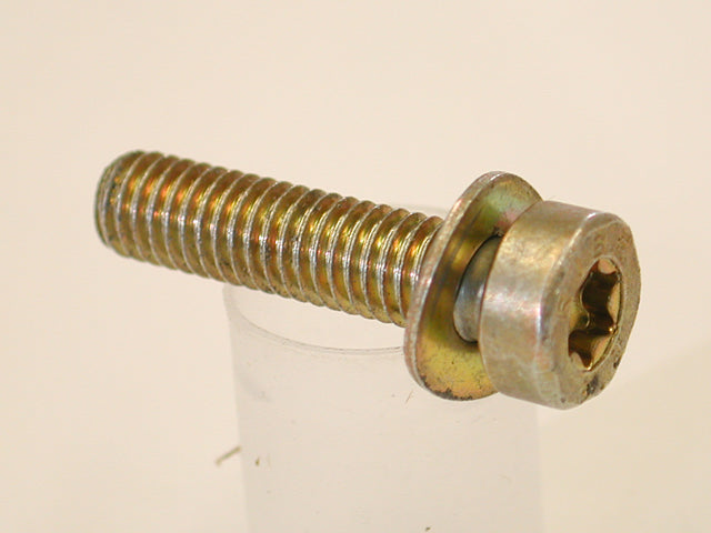 BMW Bolt - Throttle Housing Cover 6 X 25 mm | 1993-2003