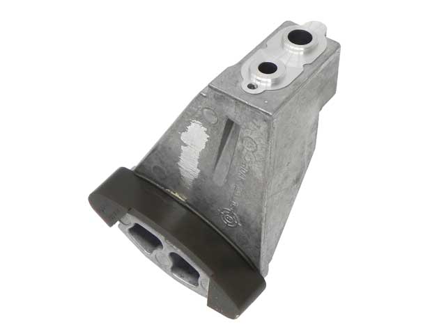 BMW Timing Chain Rail (Slide Rail) | 2002-2010 11317504475