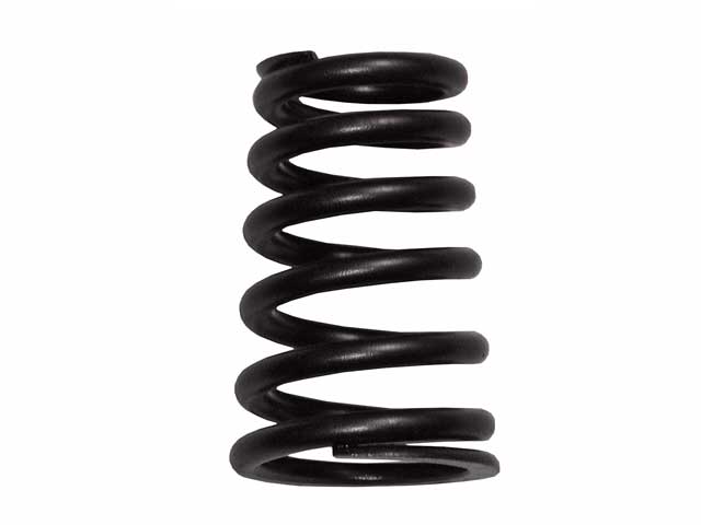 BMW Valve Spring | 1995-2003 11341403709