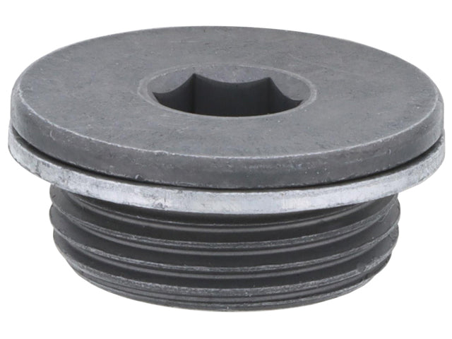 BMW Vanos Unit Plug with Seal Ring (Screw Plug) | 1998-2006 11361438338