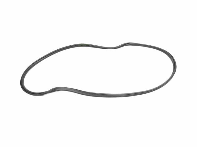 Mercedes-Benz Windshield Seal | 1973-1980 1166710120