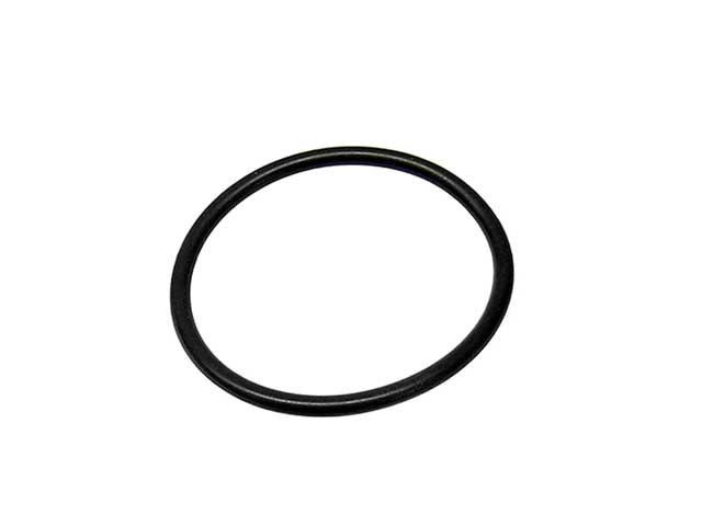 BMW O-Ring for Fuel Pump Assembly | 1967-2001 16111744369