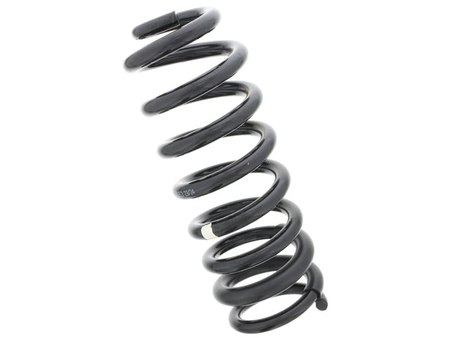Mercedes-Benz Coil Spring | 2006-2019 1643240404