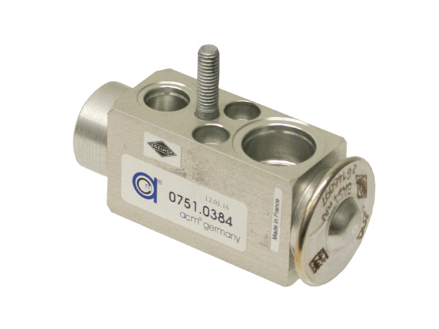 Mercedes-Benz Expansion Valve | 2005-2011 1698300684