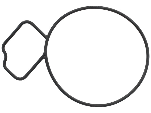 Mercedes-Benz Water Pump Gasket | 2016-2023 24439799