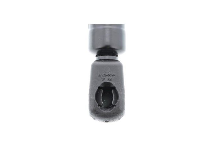 BMW Hatch Shock | 2002-2007 251829332