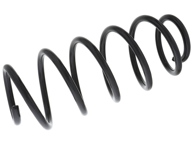 BMW Coil Spring | 2003-2019 31304154