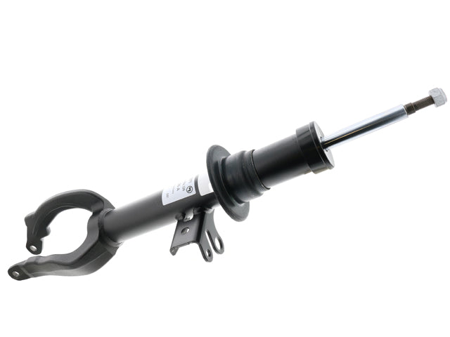 BMW Strut | 2011-2016