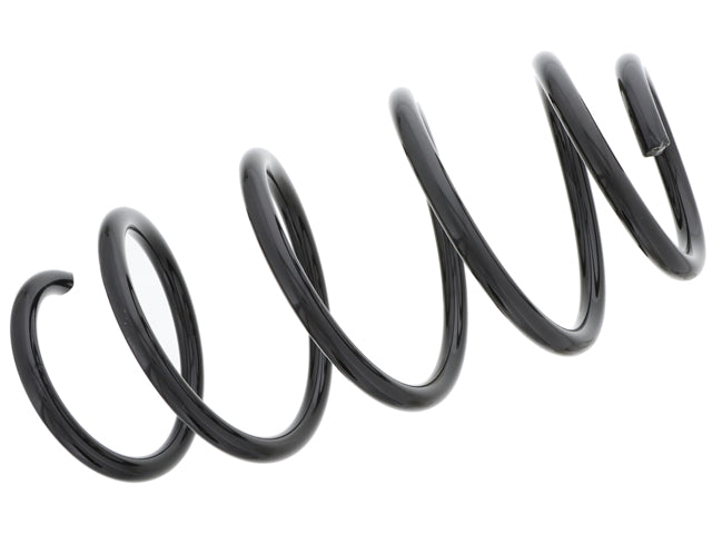 BMW Coil Spring | 1999-2008 32016017