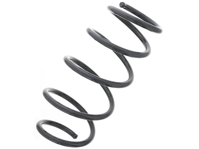 BMW Coil Spring | 2000-2009 32016019