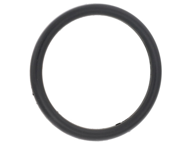 BMW Coolant Flange O-Ring - 53 mm | 2002-2003 4359953