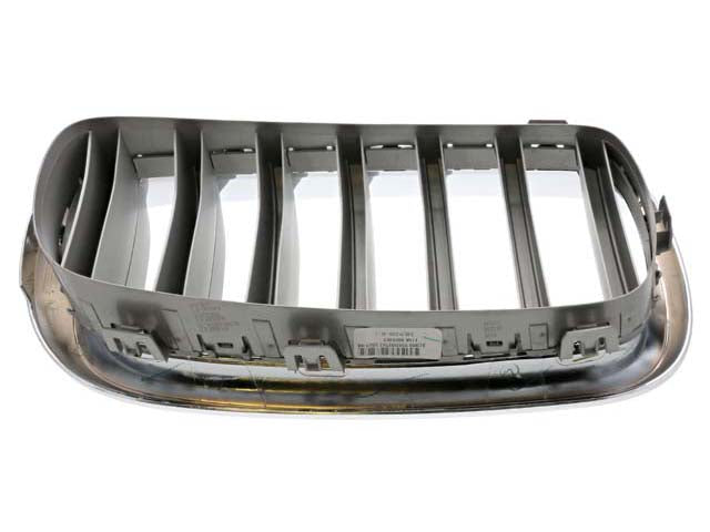 BMW Grille | 2014-2018 51117303107