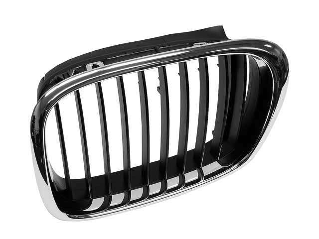 BMW Grille (Black) | 2000-2003 51137005837