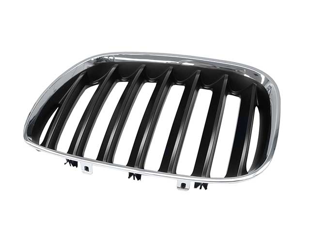 BMW Grille | 2004-2006 51137113733