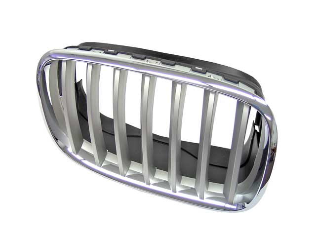 BMW Grille - Chrome Frame with Titanium Grille | 2007-2013 51137185224