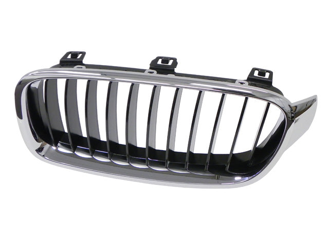 BMW Grille | 2012-2018 51137255411