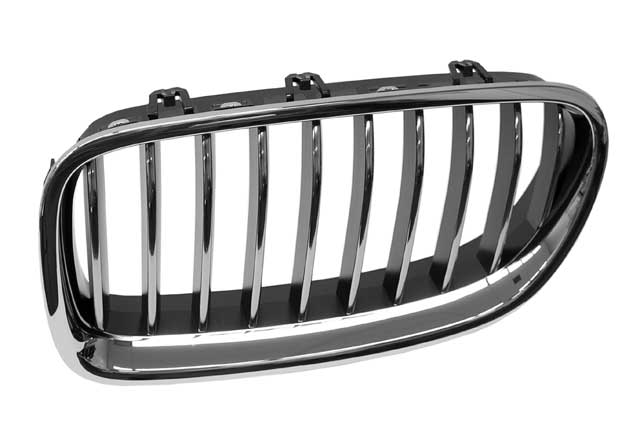 BMW Grille | 2014-2016 51137412323