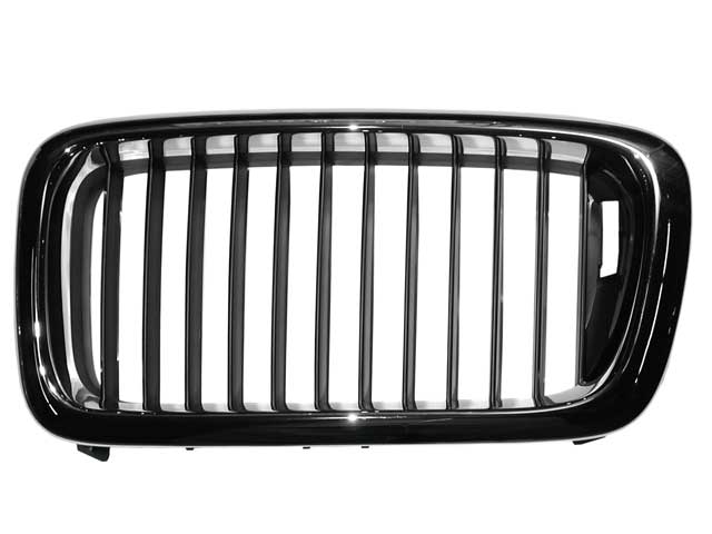 BMW Grille Black Center | 1995-1999 51138125811