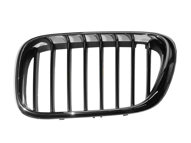 BMW Grille | 2000-2004 51138402645