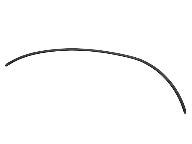 BMW Windshield Moulding Trim Seal | 1997-2003 51318159786
