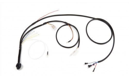 Fog Light Additional Beam Wiring Harness, 911 (74-86), 930 (76-86) - Sierra Madre Collection