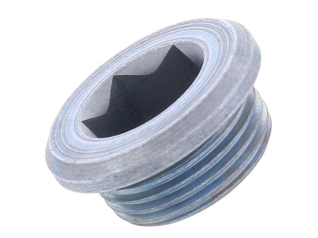 BMW Differential Drain Plug with O-Ring 22 X 1.5 mm | 1982-2025 33117525064