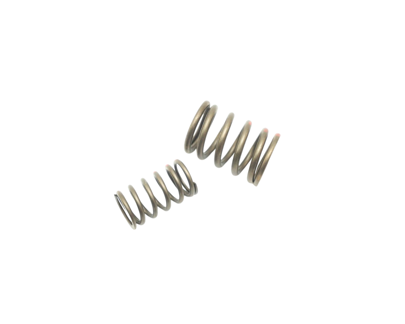 Cylinder Head Valve Spring Set - 928 | 1978-1982