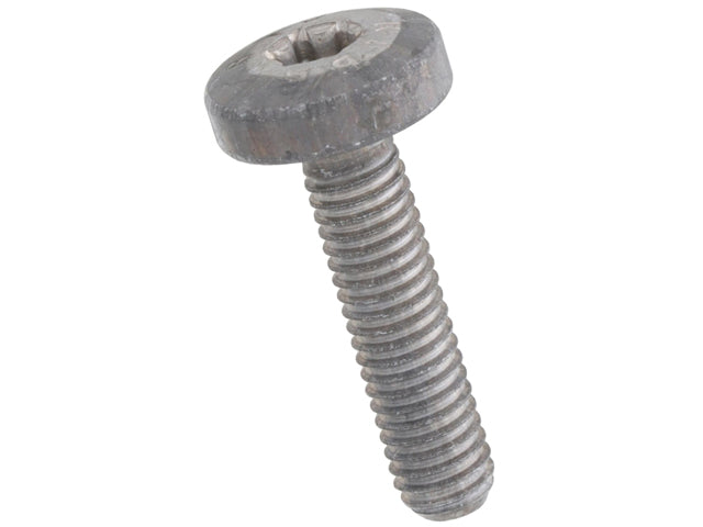 Mercedes-Benz Auto Trans Actuator Bolt - 6 X 25 mm | 2015-2026 0049907412
