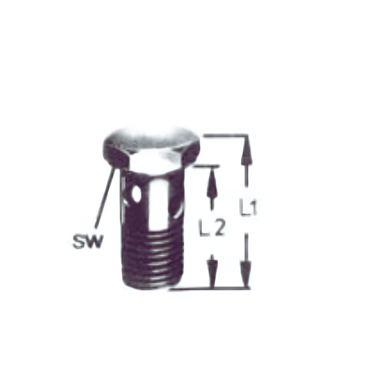 Porsche M12 Hollow Bolt DN NW 6 8091-0600