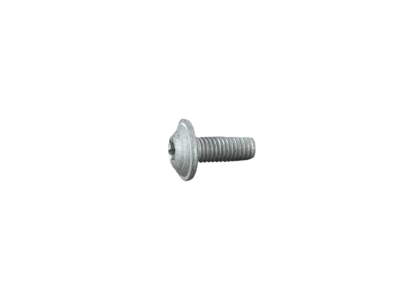 Porsche Oval Head Screw - Panamera 10-16 999-919-263-01