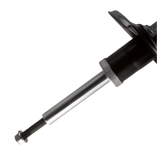 Porsche Suspension Strut Assembly Rear - Boxster/Cayman 13-23 22-231147