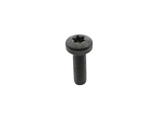 Porsche Thermostat Housing Bolt 6 X 20 mm , Panamera/Cayenne/Macan | 2010-2025 N10124306