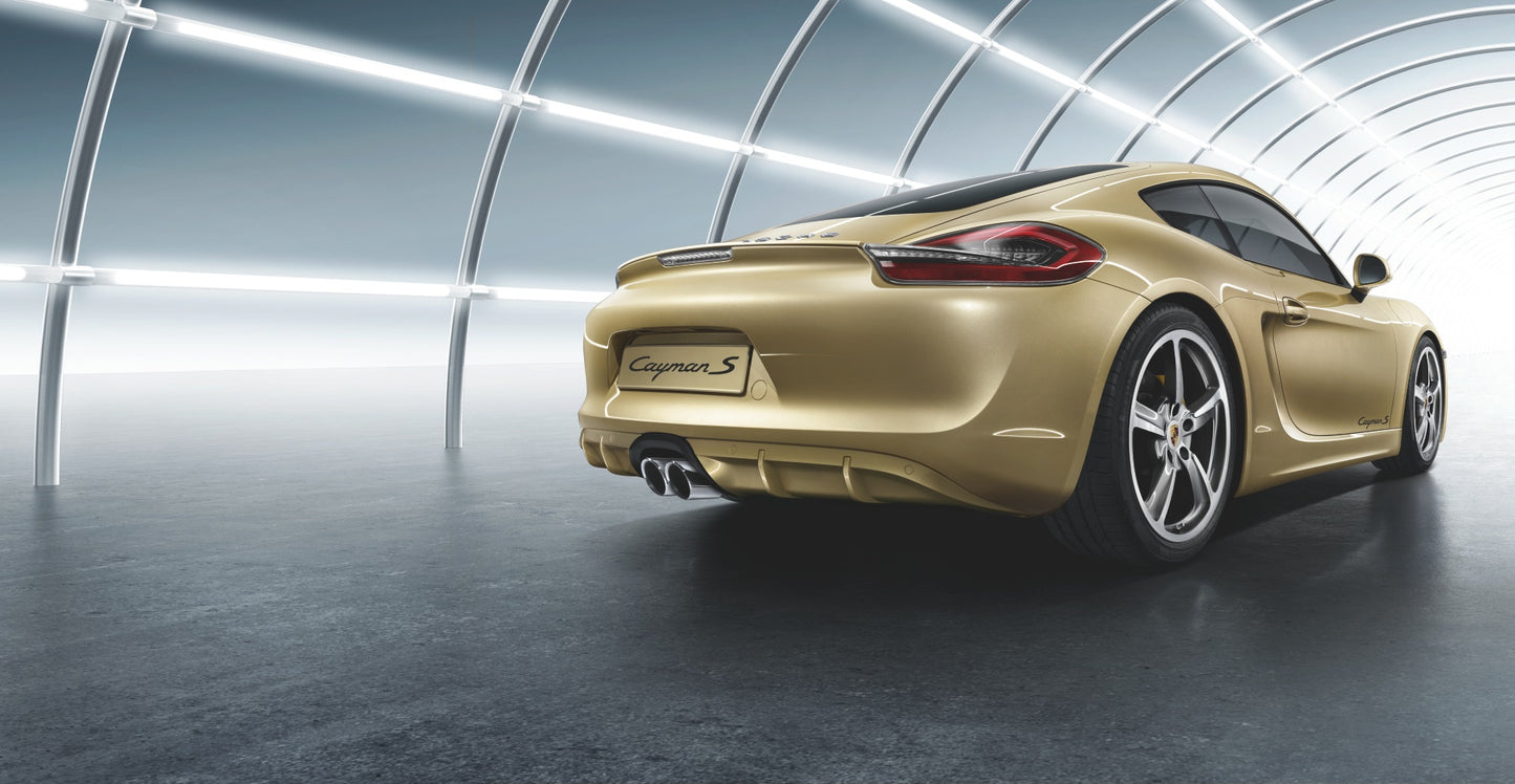Porsche Tinted Tail Lights - 98104490000 - 981 | 2012-2016 98104490000