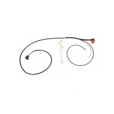 Fuel Pump Wiring Harness, 911 (77-83), 930 (77-83) - Sierra Madre Collection
