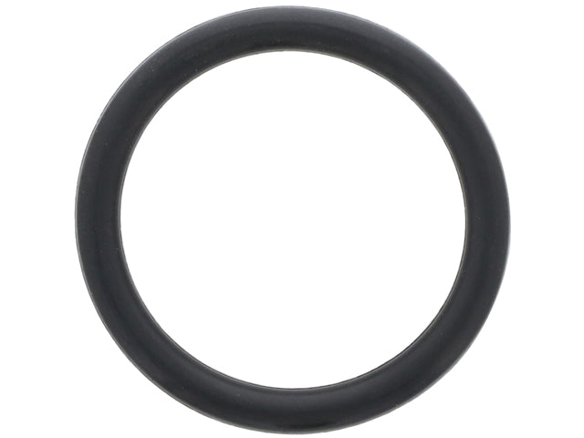 Porsche Coolant Pipe O-Ring, Boxster/911/Cayman/Panamera/Macan/356C/Cayenne/356B | 1962-2018 AJ813918