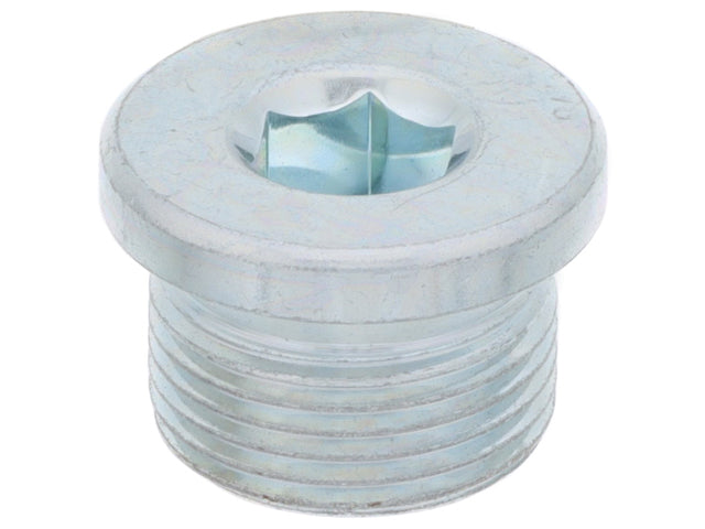Porsche Transmission Drain Plug 22 X 1.5 mm , Boxster/Cayman | 2005-2008 N10037106
