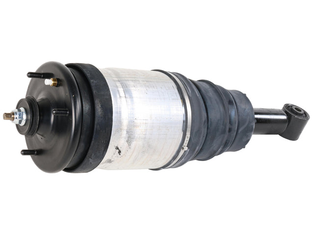 Mercedes-Benz Shock Absorber (Air Spring Assembly) | 2012 RPD501090