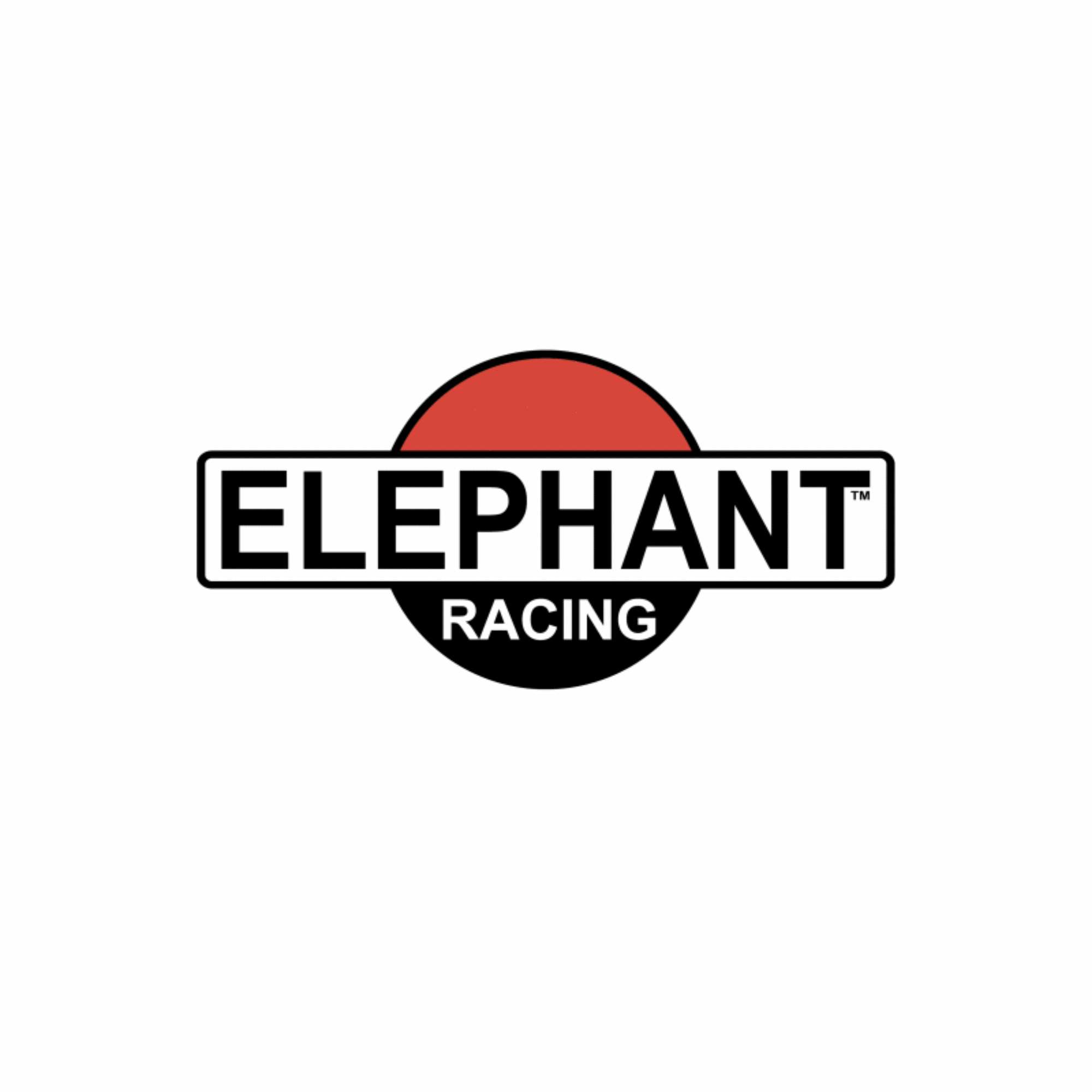 Elephant Racing