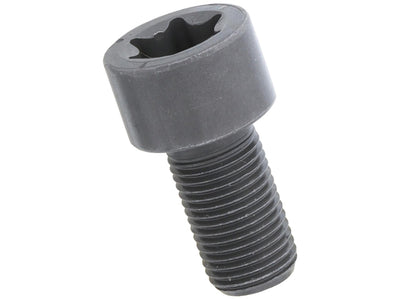 Mercedes-Benz Crankshaft Bolt - Starter Ring Gear to Crankshaft 10 X 18.5 mm Torx Head | 1998-2020