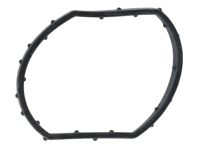 BMW Thermostat Gasket | 1968-1971 059121149B