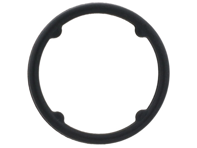 BMW Engine Oil Cooler O-Ring | 2011-2013 079103121AD