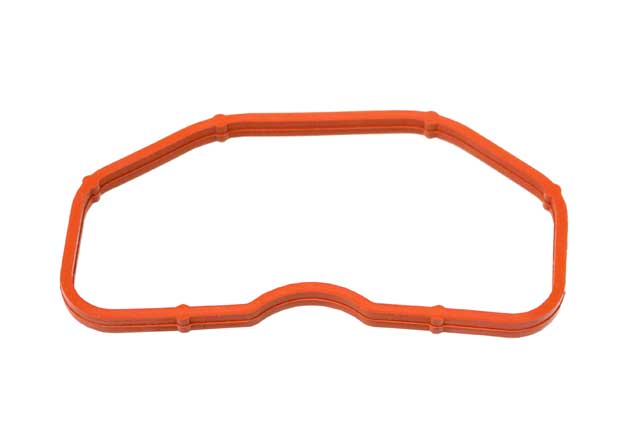 BMW Intake Manifold Gasket | 2009-2018 079129717B