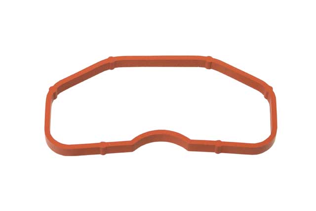BMW Intake Manifold Gasket | 2009-2018 079129717B