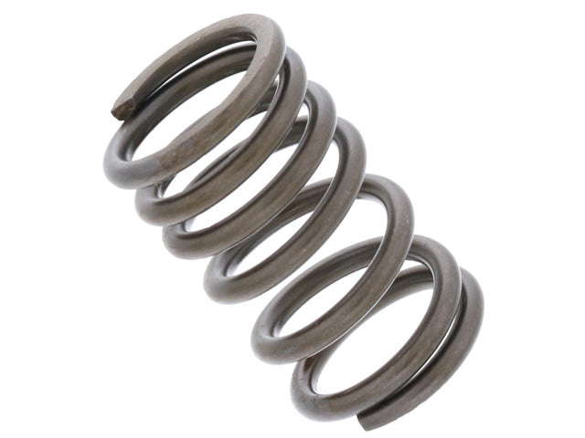 Mercedes-Benz Valve Spring | 1999-2011 113109623C