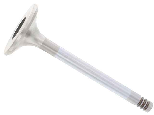 BMW Exhaust Valve (38 mm) (8 mm Stem) | 1967-1985