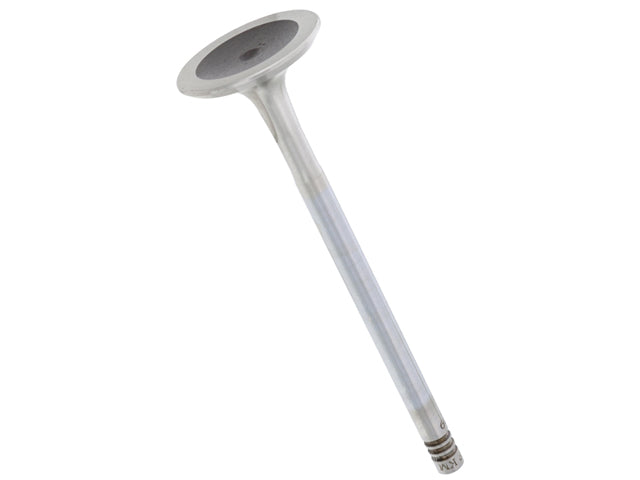 BMW Exhaust Valve (29.0 mm) (6 mm Stem) | 2002-2010