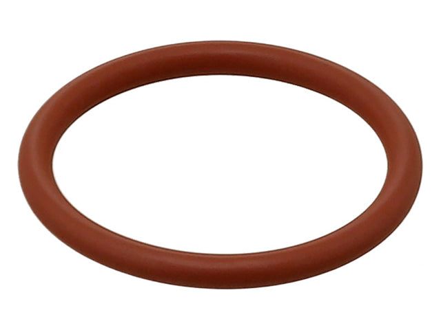BMW Water Outlet O-Ring | 2005-2023 12584040