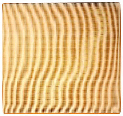BMW Air Filter | 2011-2019 13717605913