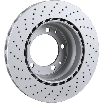 Brake Disc, Rear, Right, 309x28 mm, Coated, 930 (77-86) - Sierra Madre Collection
